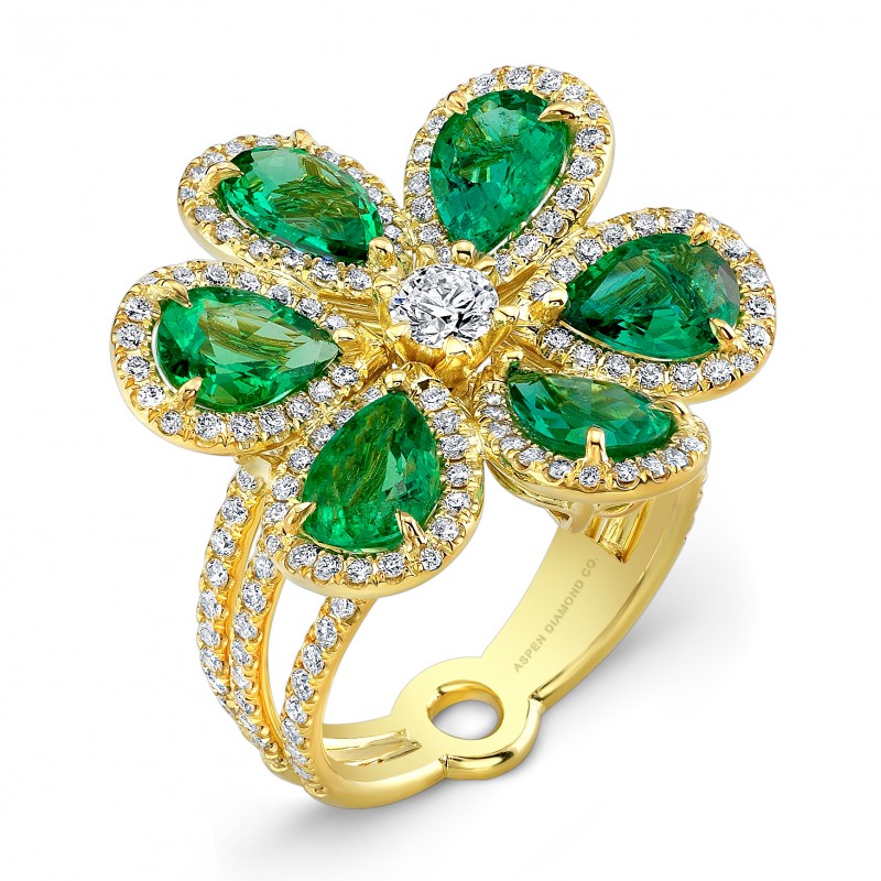 aspen_121213_ring_1