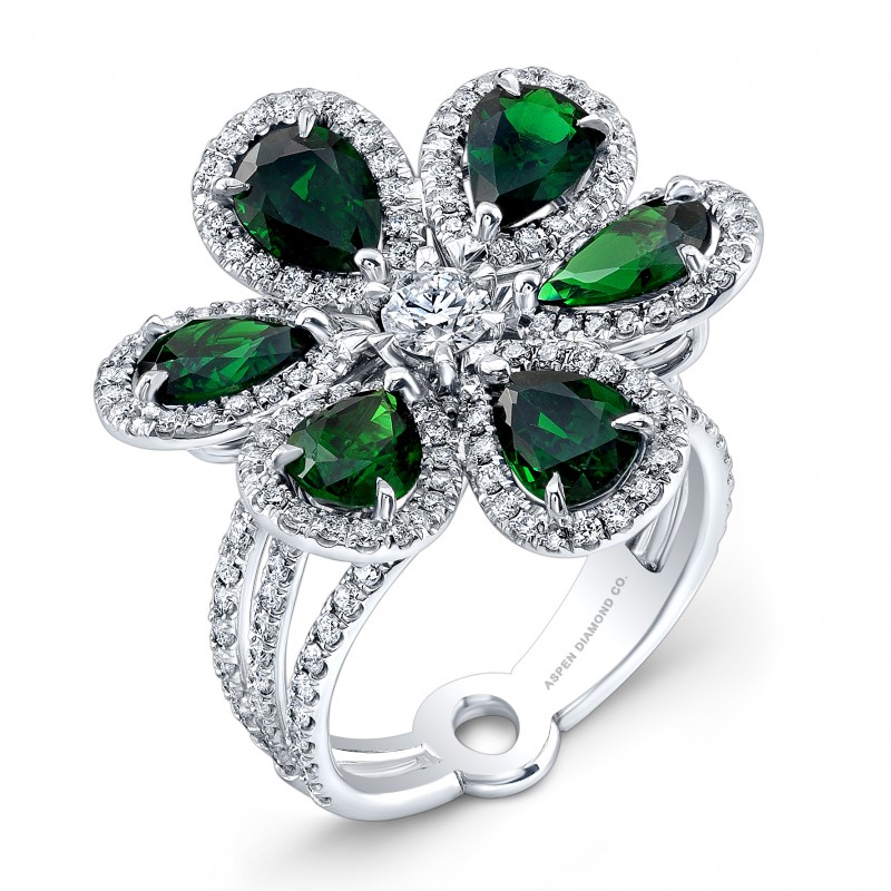 aspen_121213_ring_7